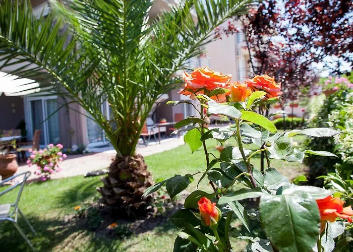 Eleni 4 Seasons هانيوتي