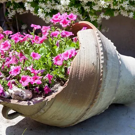 Διαμέρισμα Eleni 4 Seasons Χανιώτη