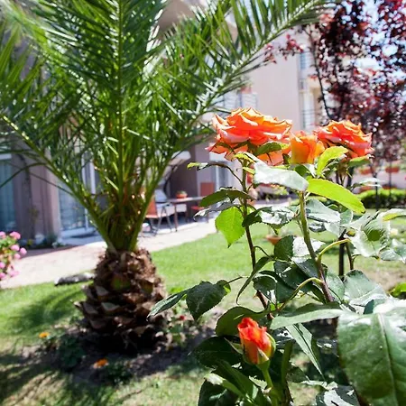 Eleni 4 Seasons Χανιώτη